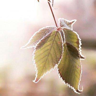 am8亚美ag旗舰厅官网截图